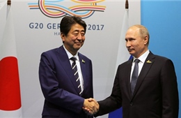 Lãnh đạo Nga, Nhật Bản nhất trí thúc đẩy giải quyết tranh chấp lãnh thổ